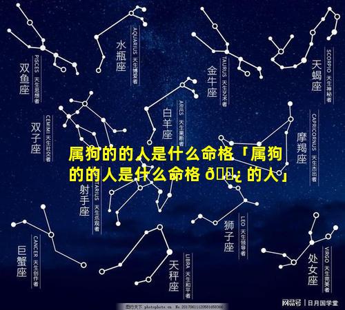 属狗的的人是什么命格「属狗的的人是什么命格 🌿 的人」